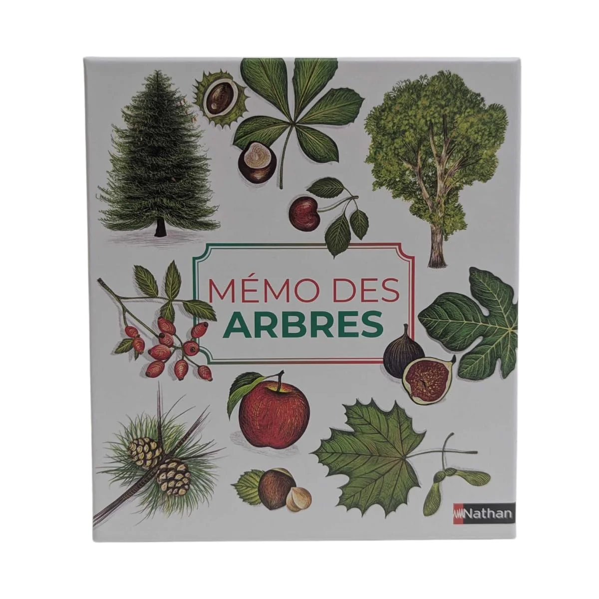 Mémo des arbres - Un jeu de memory pour apprendre en s'amusant en famille - Dès 4 ans - Image 6