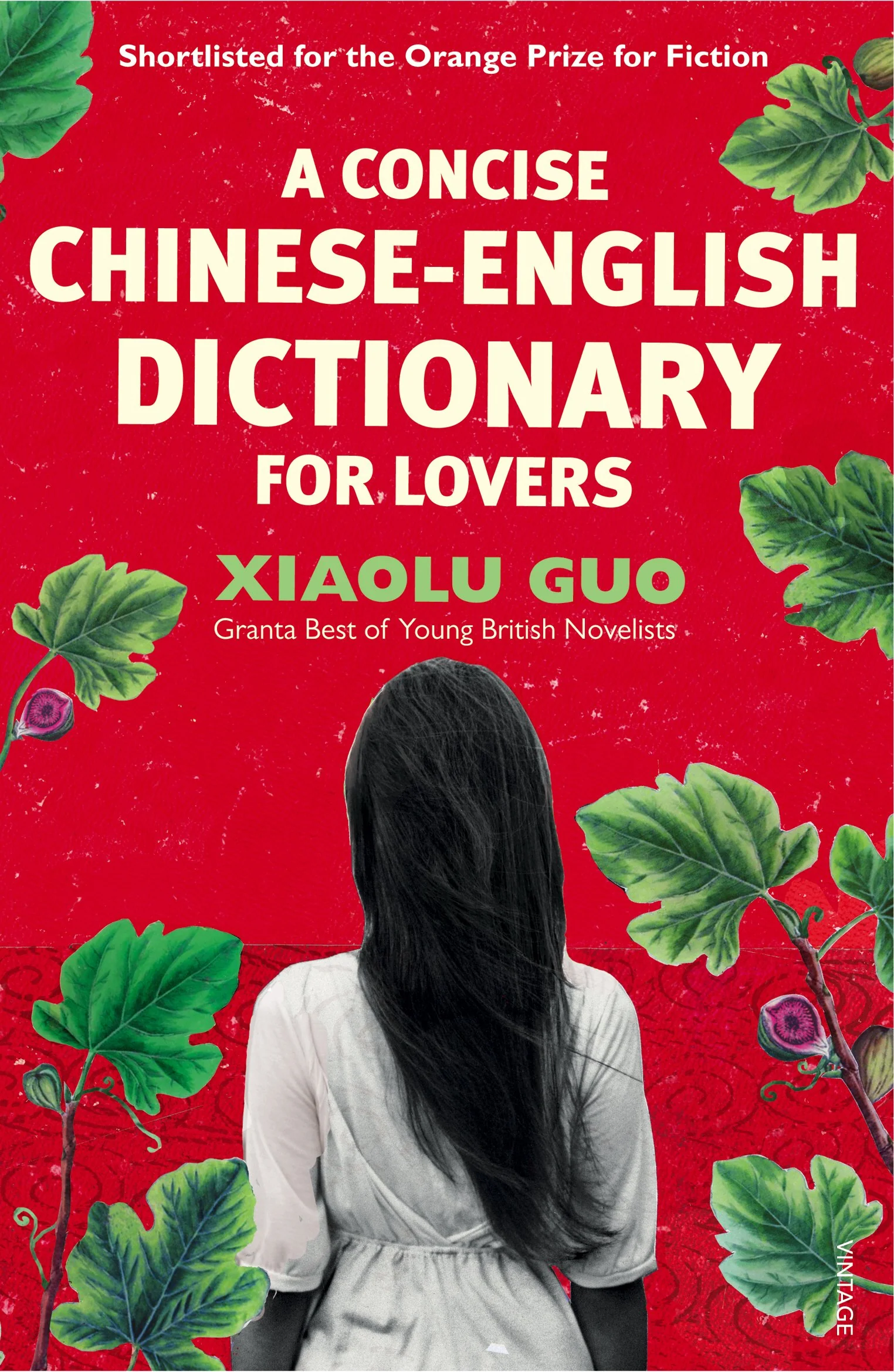 Petit dictionnaire chinois-anglais pour amants - Image 2