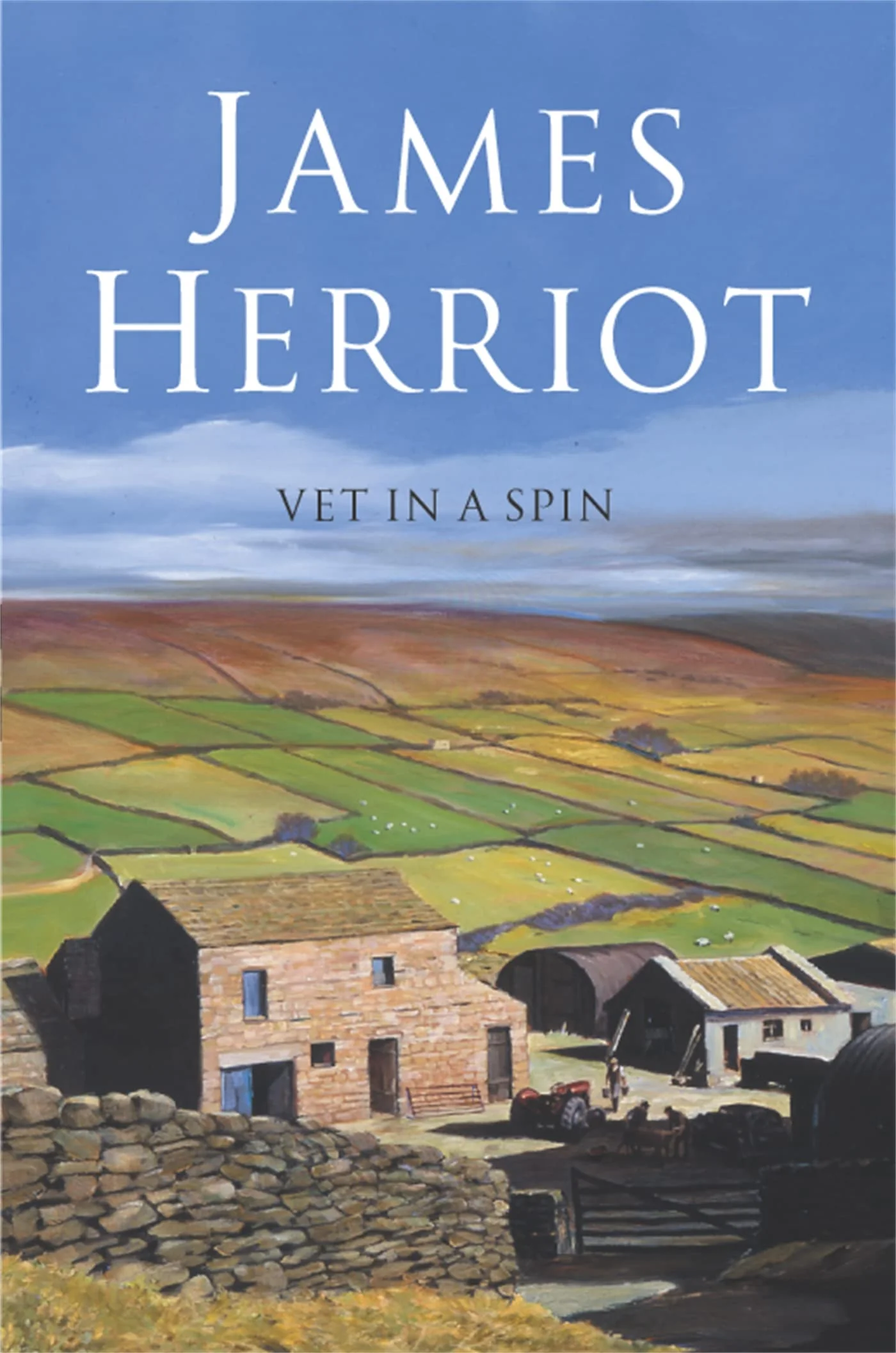 Vet in a Spin - Image 2