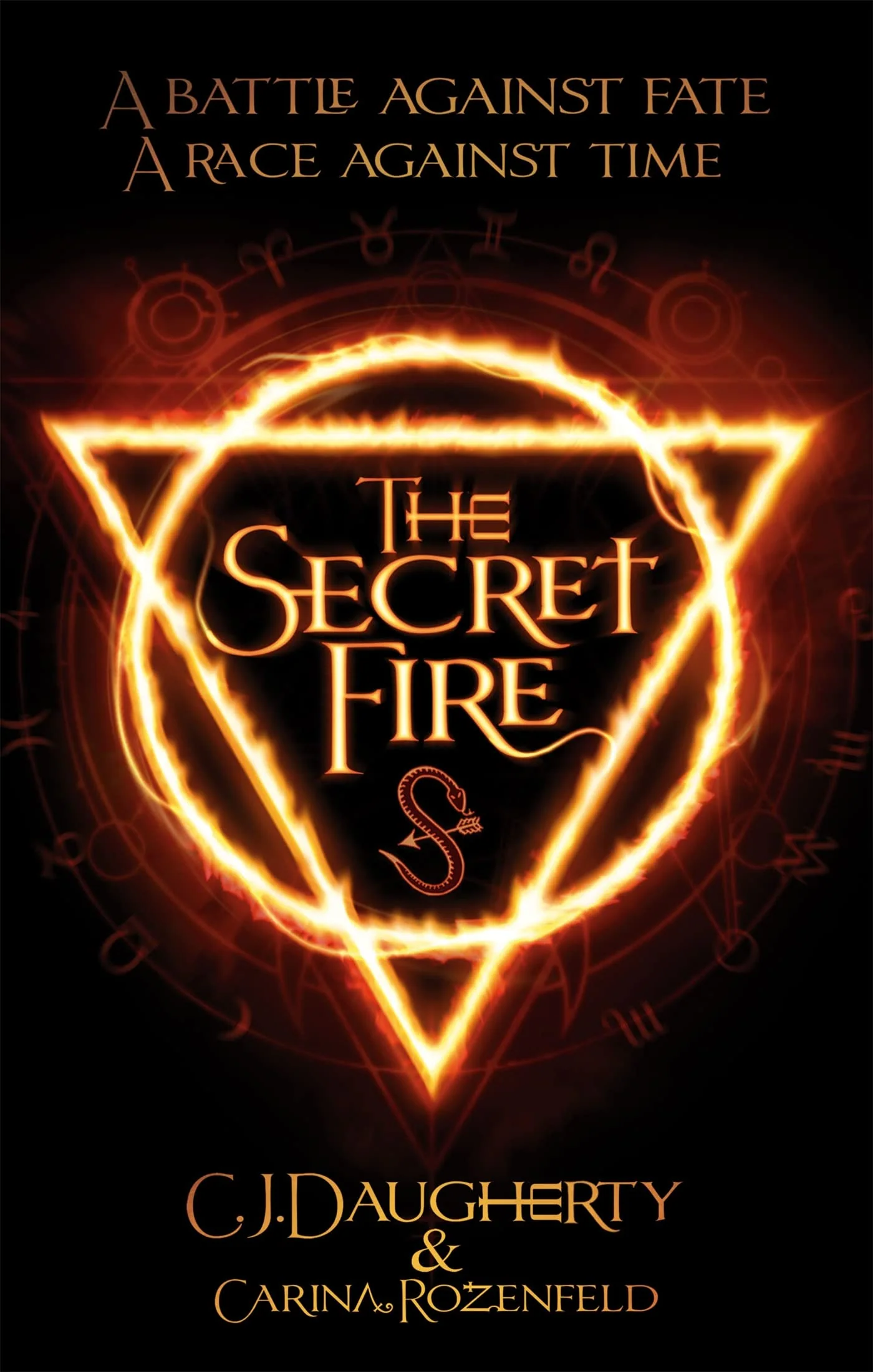 The Secret Fire - Image 3