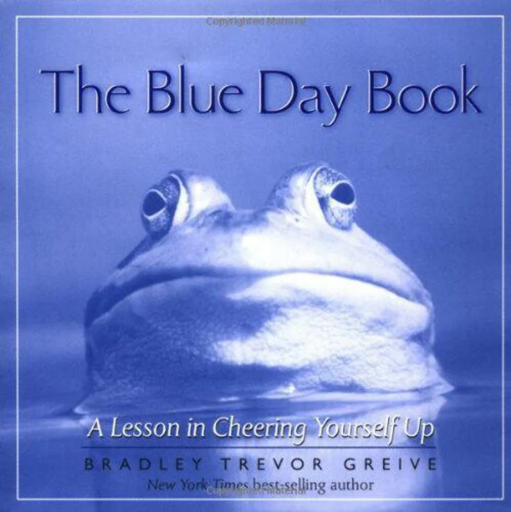 The Blue Day Book: A Lesson in Cheering Yourself Up - Image 3