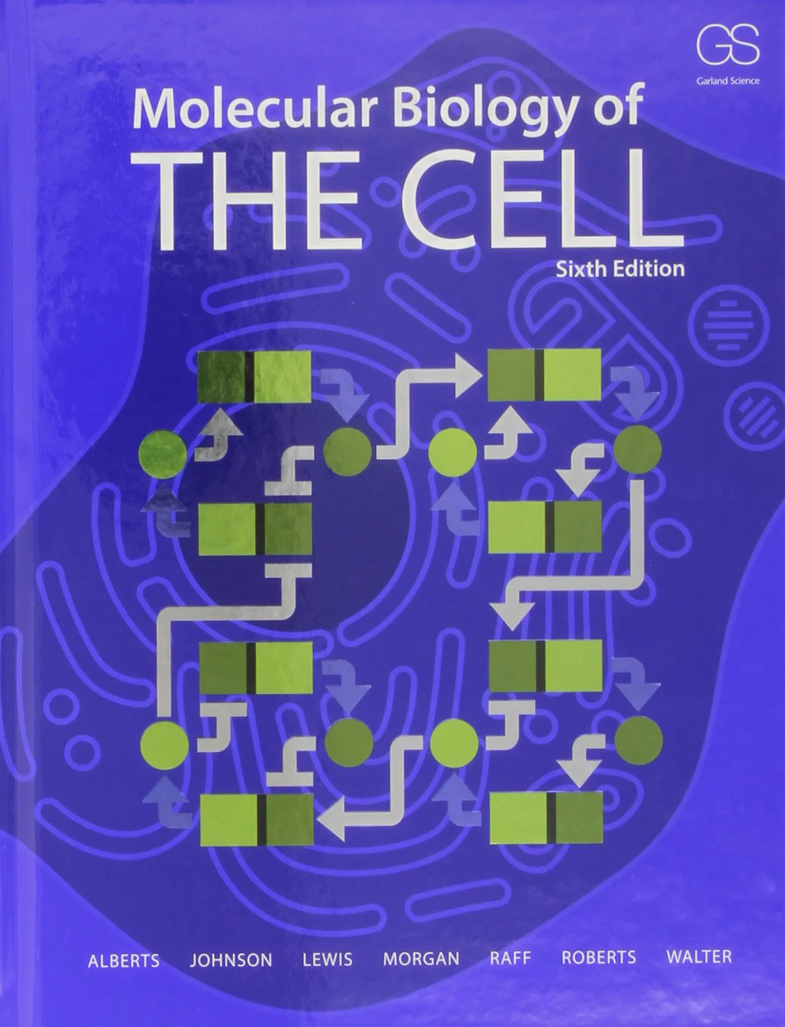 Molecular Biology of the Cell - Image 2