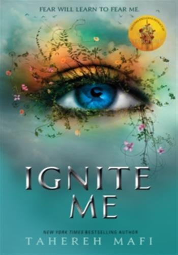 Insaisissable - Tome 3 Ne m'abandonne pas - Image 12