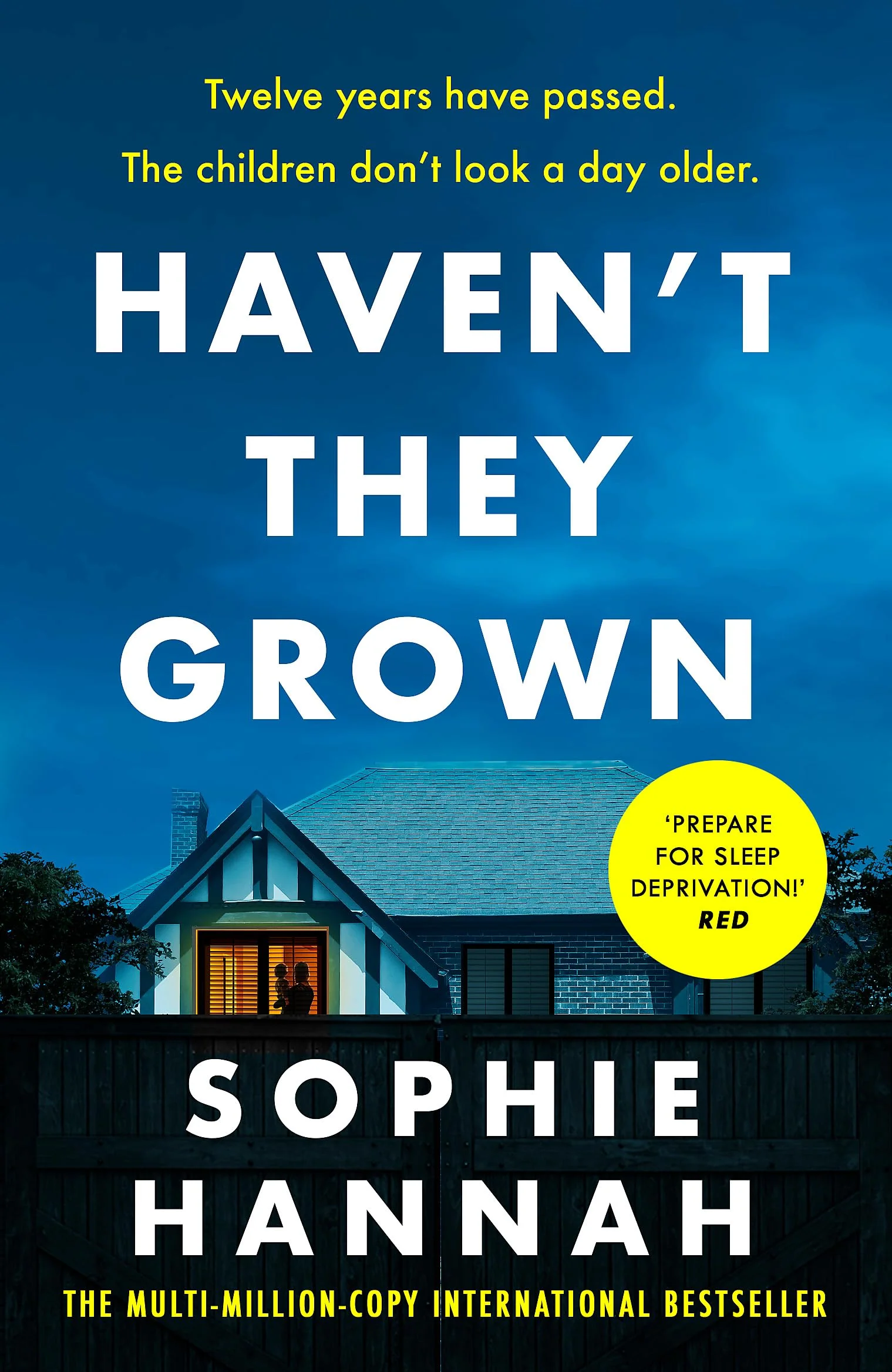 Haven't They Grown: a totally gripping, addictive and unputdownable crime thriller packed with twists - Image 2