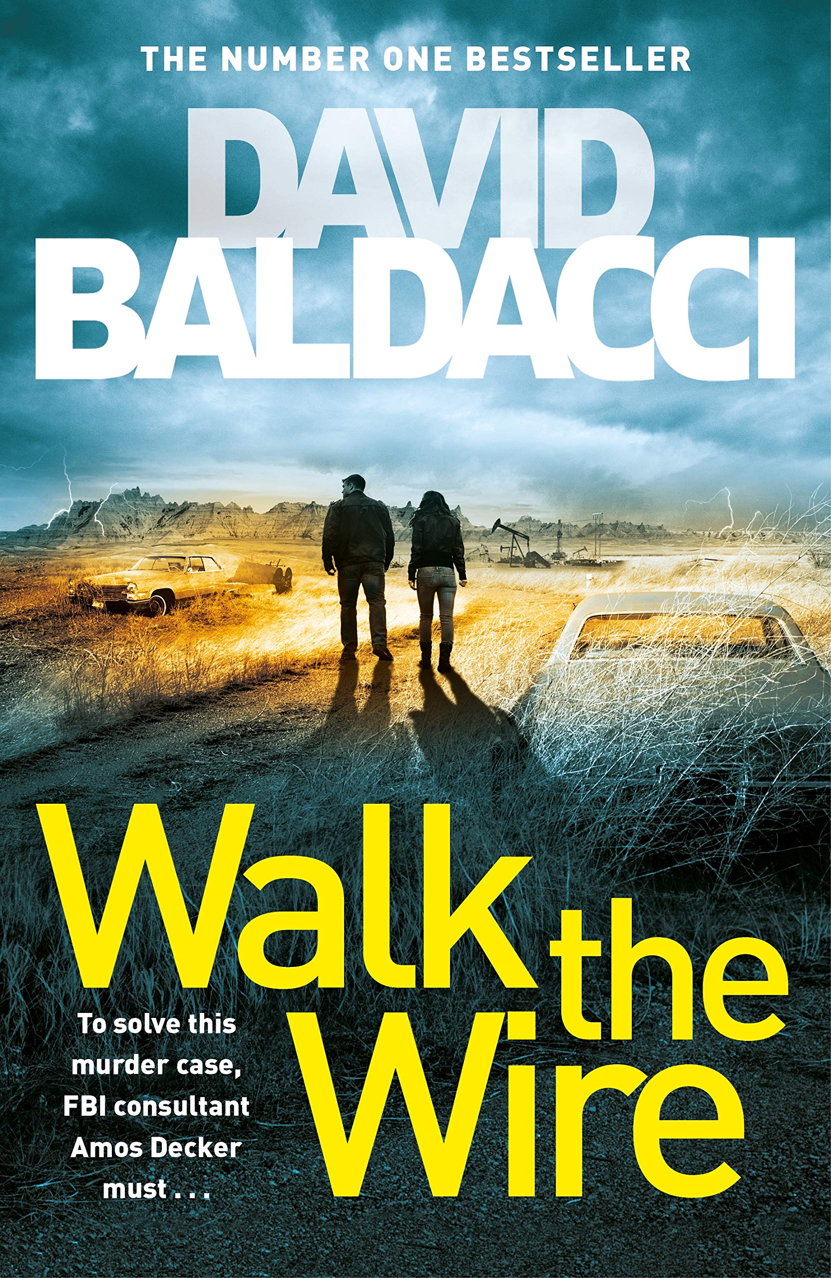 Walk the Wire - Image 3