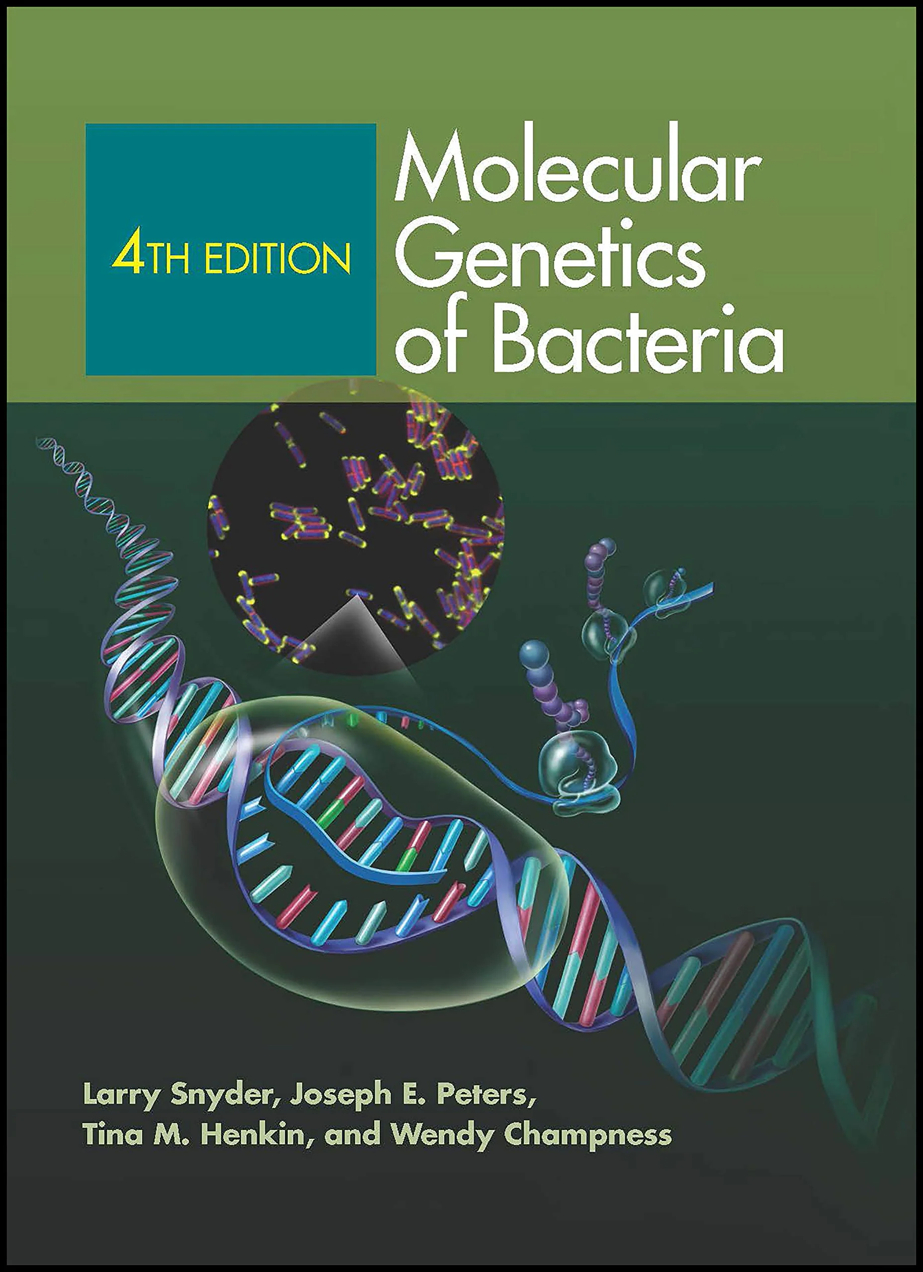 Molecular Genetics of Bacteria - Image 3