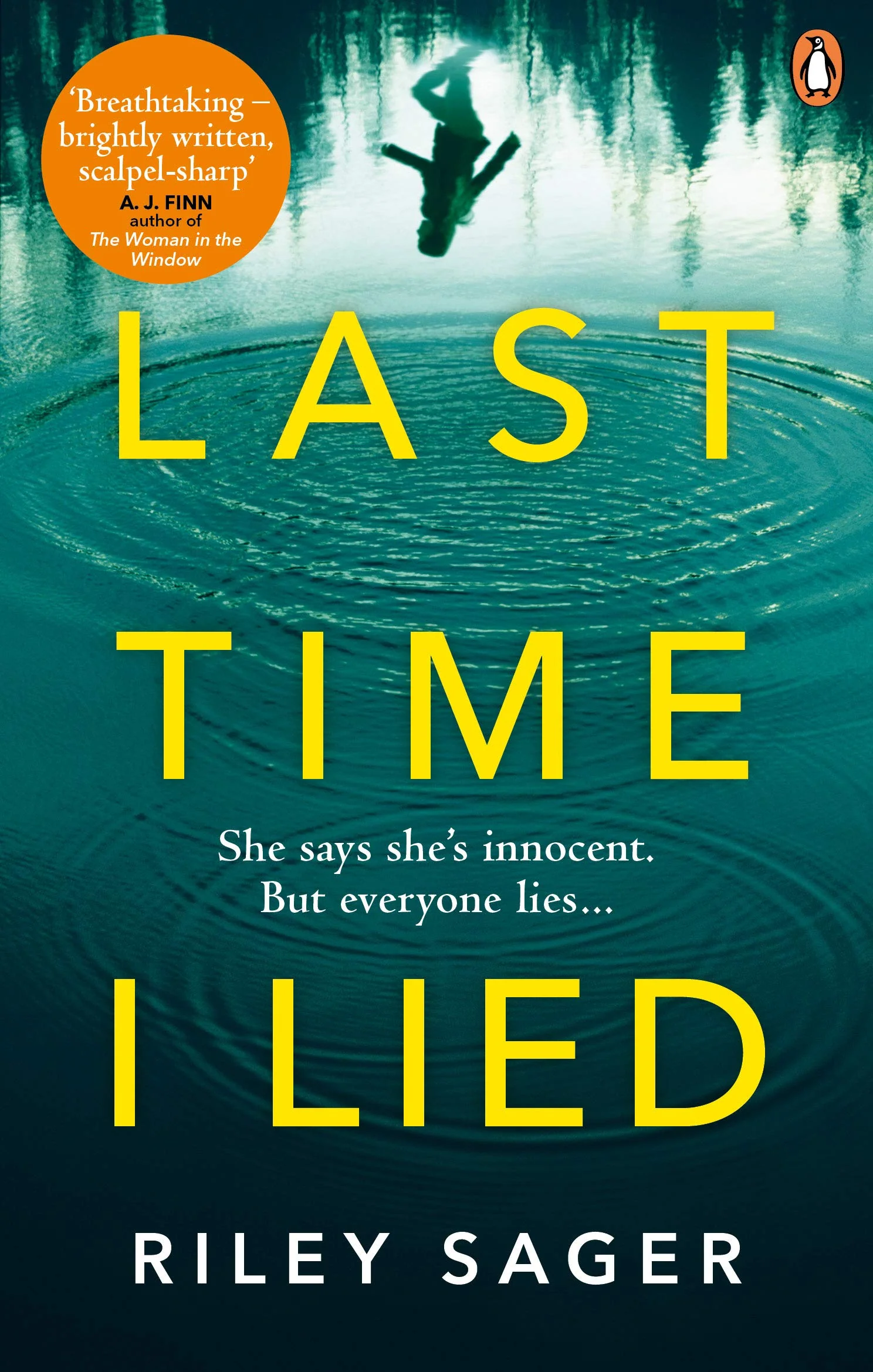 Last Time I Lied: The New York Times bestseller perfect for fans of A. J. Finn’s The Woman in the Window - Image 7