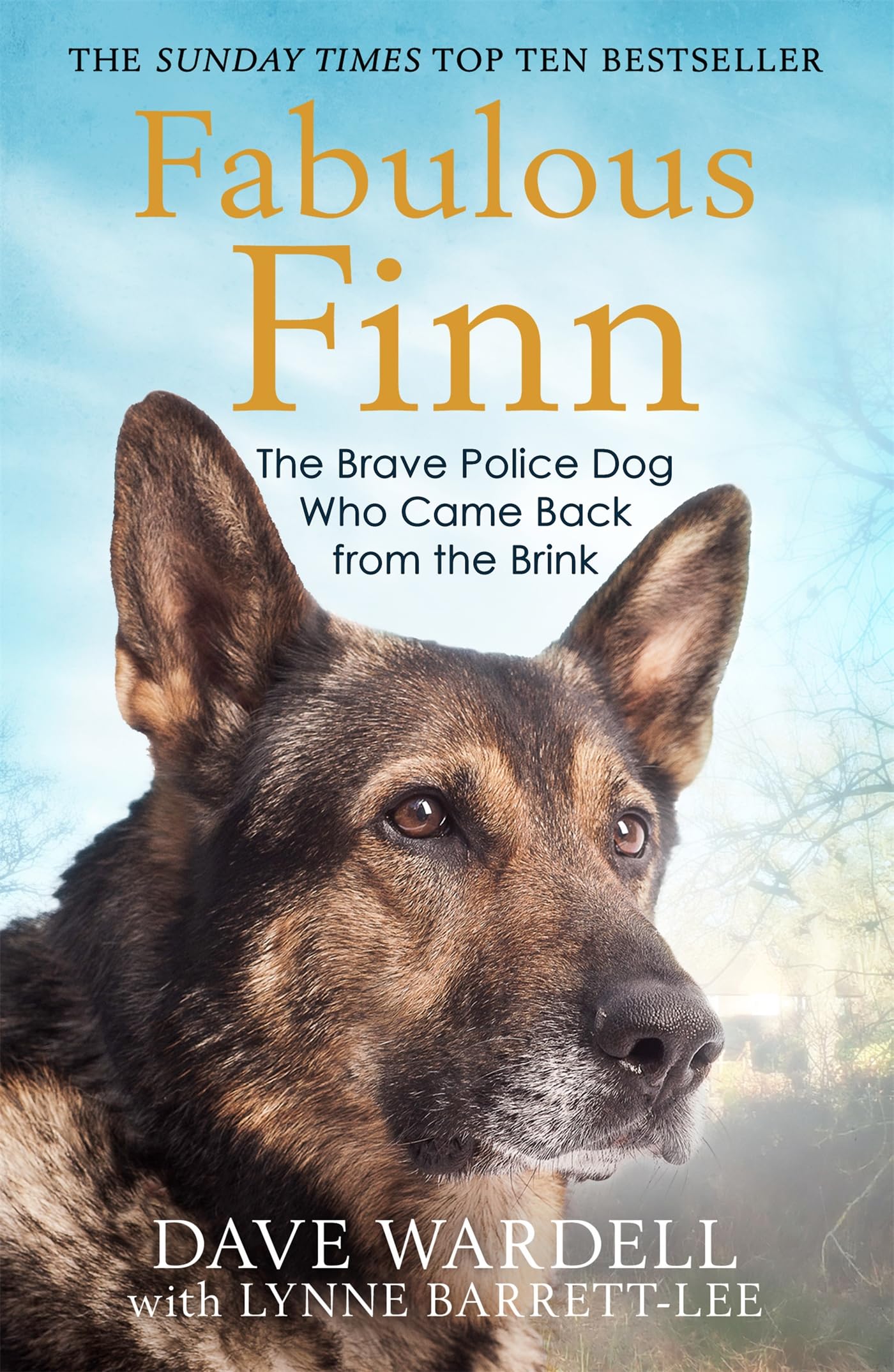 Fabulous Finn: The Brave Police Dog Who Came Back from the Brink - Image 2