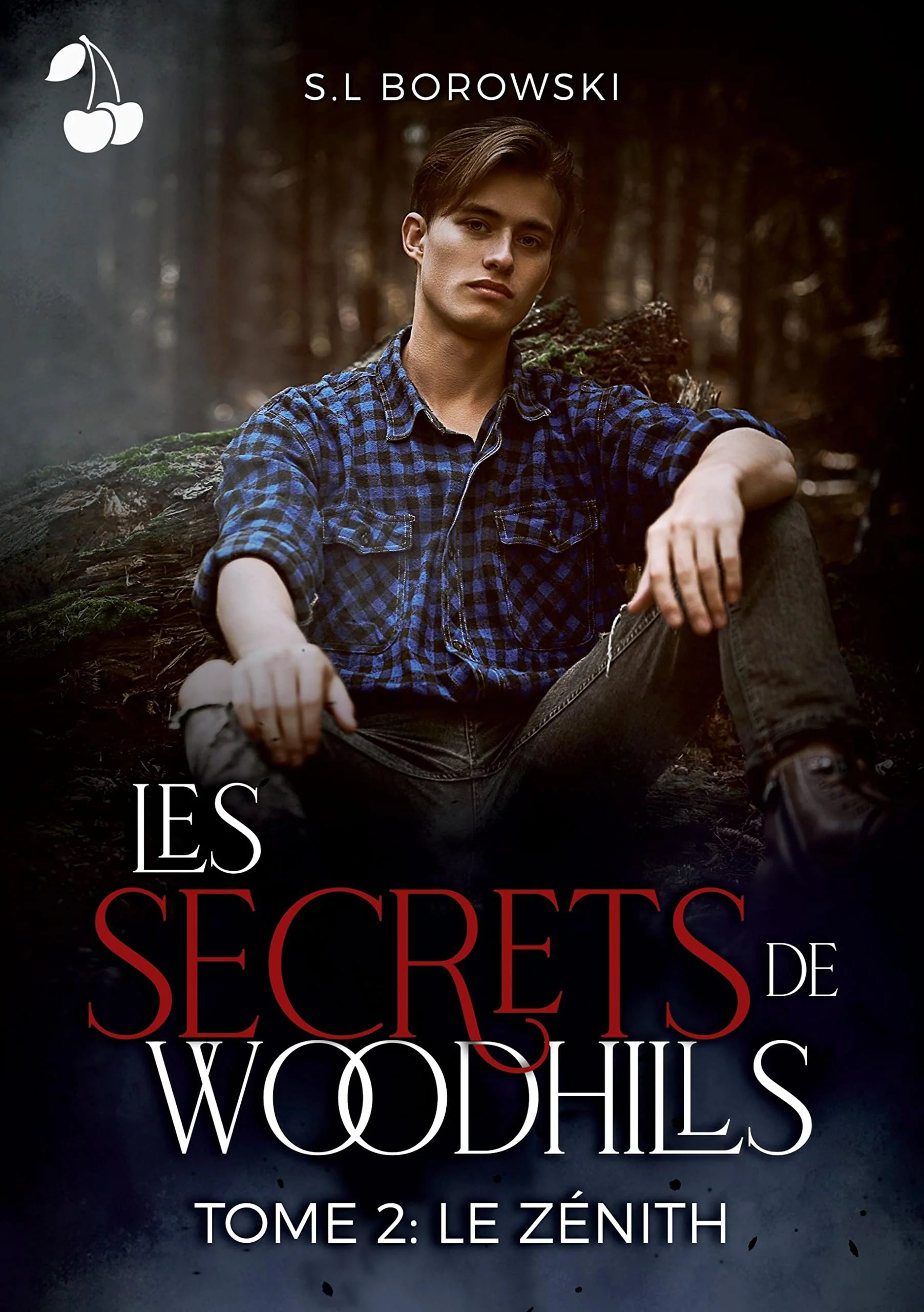 Les secrets de Woodhills 2: Le Zénith - Image 2