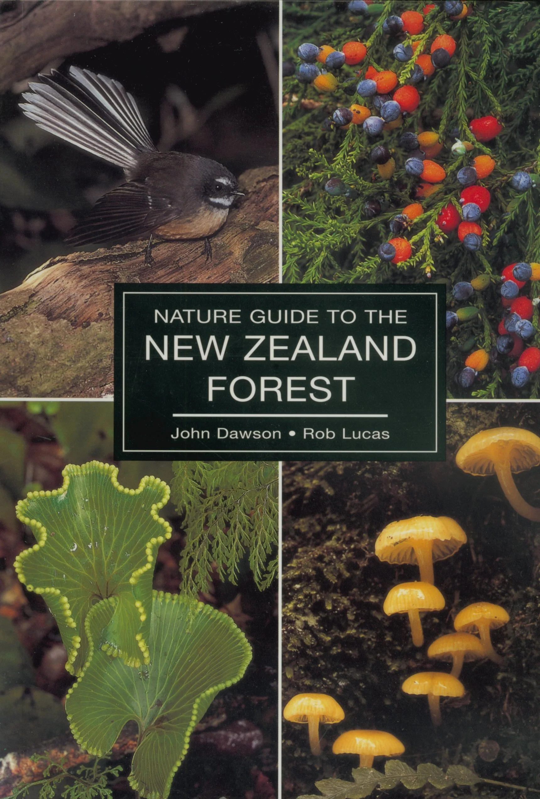 Nature Guide to the New Zealand Forest - Image 3