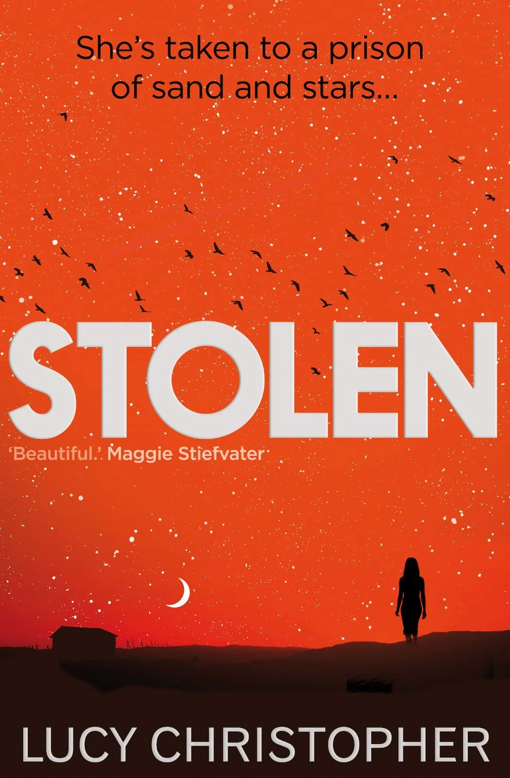 Stolen - Image 2