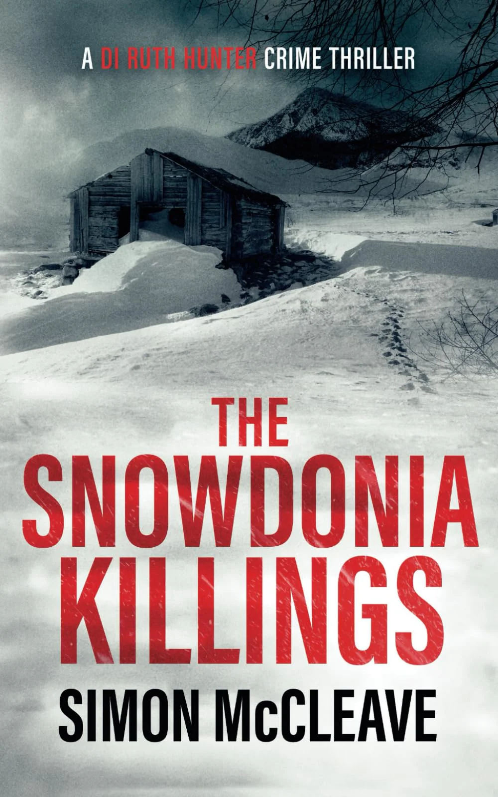 The Snowdonia Killings: A Snowdonia Murder Mystery Book 1 - Image 5