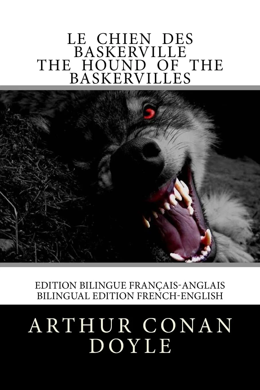 Le chien des Baskerville