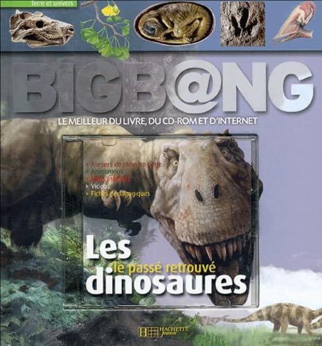 Les dinosaures: Le passé retrouvé - Image 2