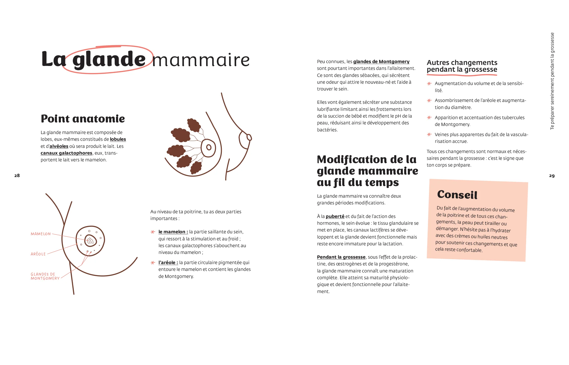 Le grand guide de l'allaitement - Image 12
