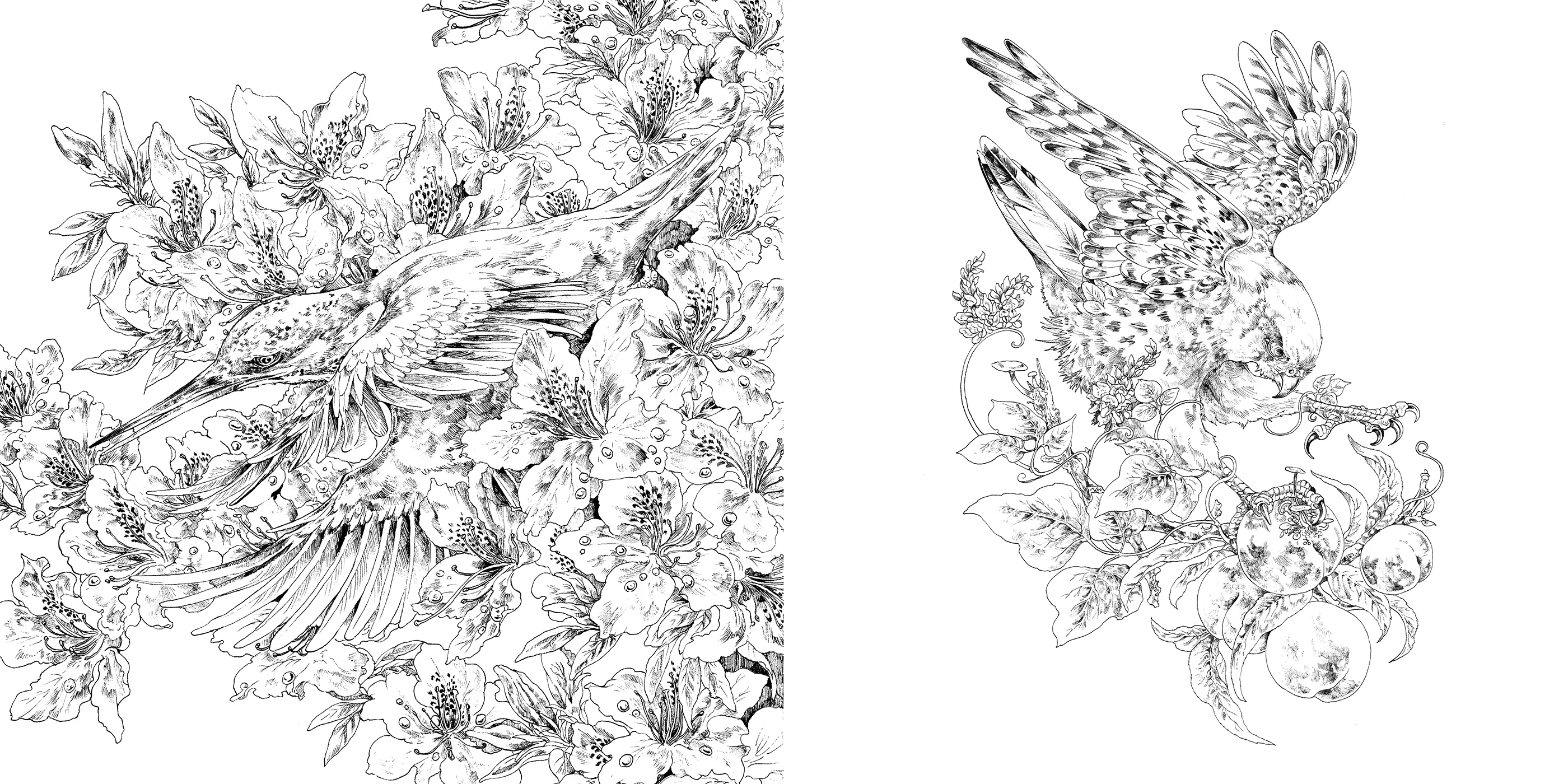 Les créatures de Ken Matsuda - Livre de coloriage - Image 28