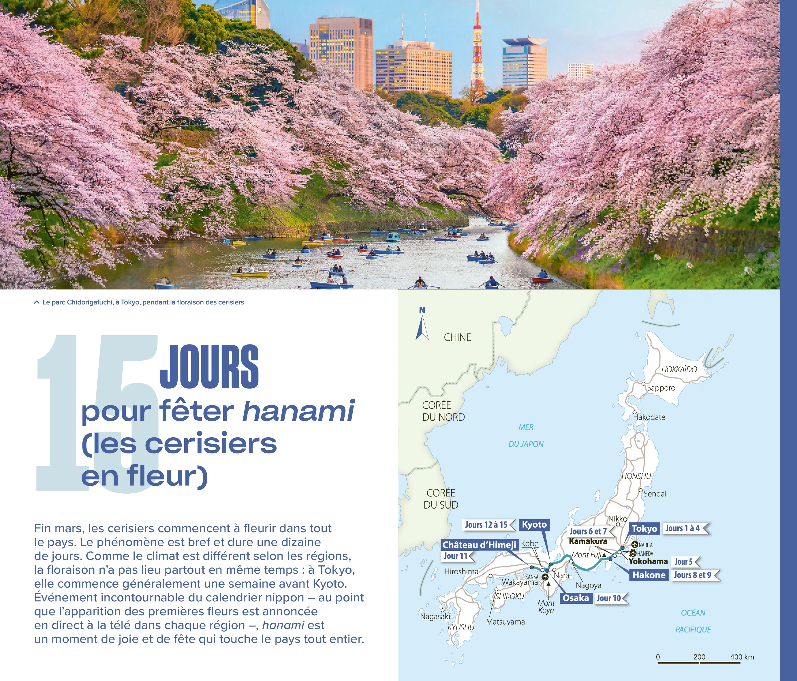 Japon Guide Evasion - Image 5