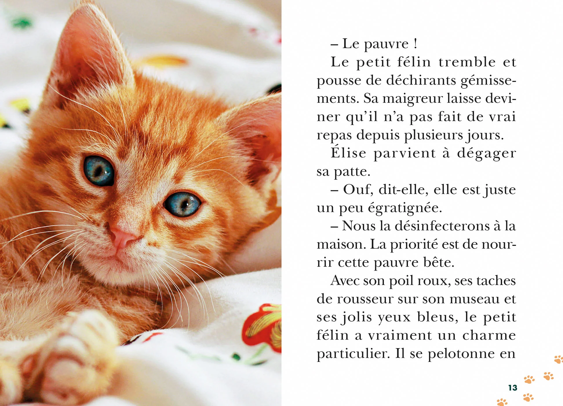 Bienvenue au refuge, Tome 15 - Super chat ! - Image 10