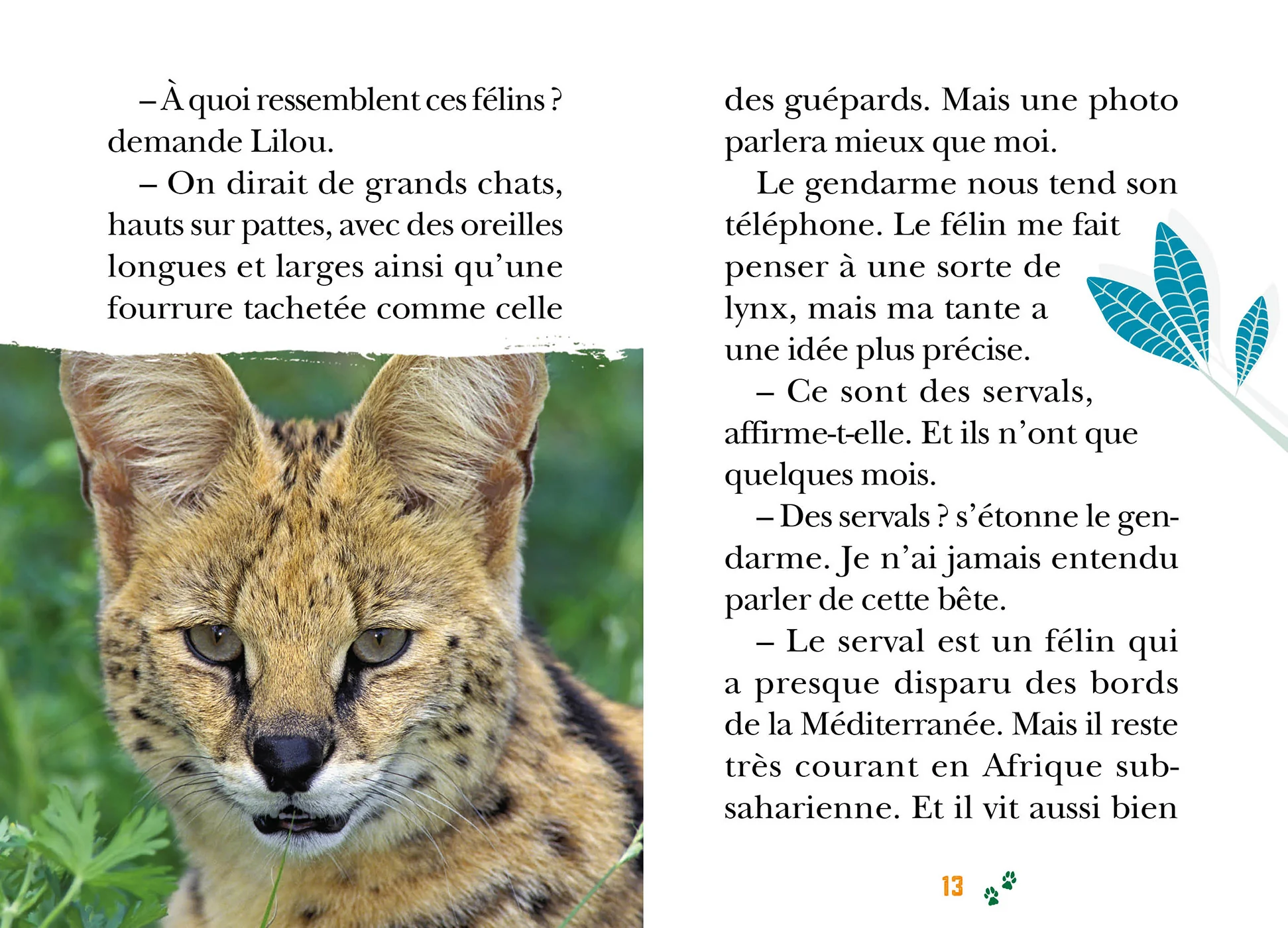 Wild Immersion, Tome 25 - Expédition au pays des servals - Image 10