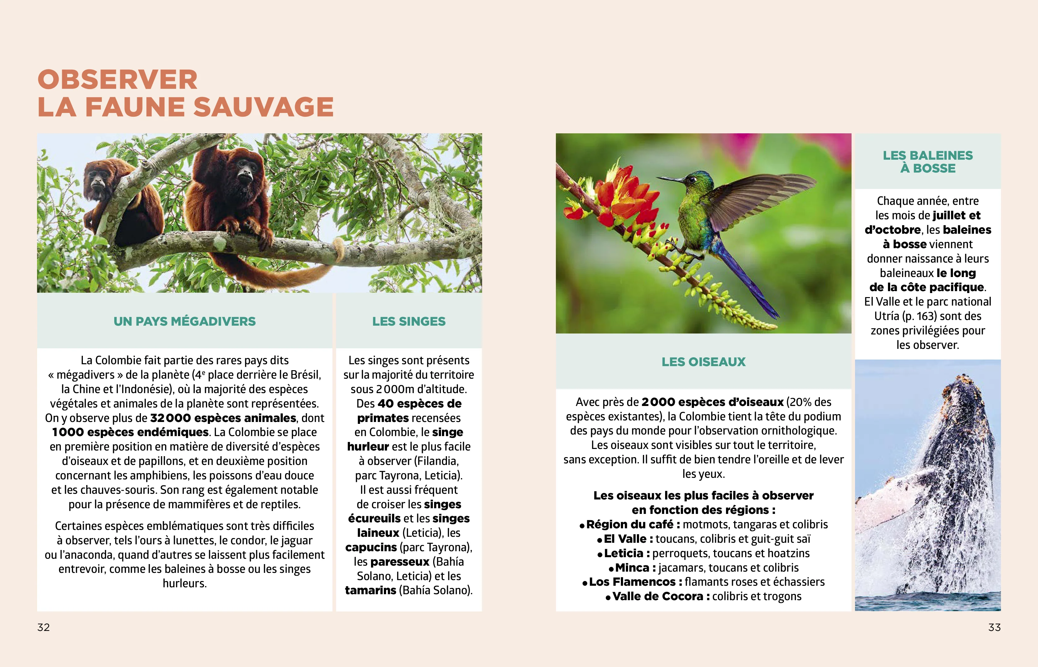Colombie Guide Simplissime - Image 11