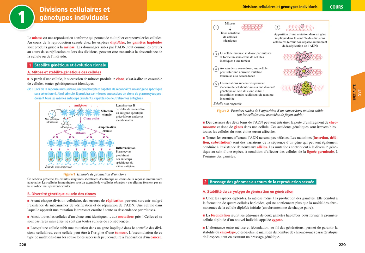 Objectif BAC TLM Tle Spé Maths-Physique-chimie - SVT + enseignements communs - BAC 2027 - Image 6