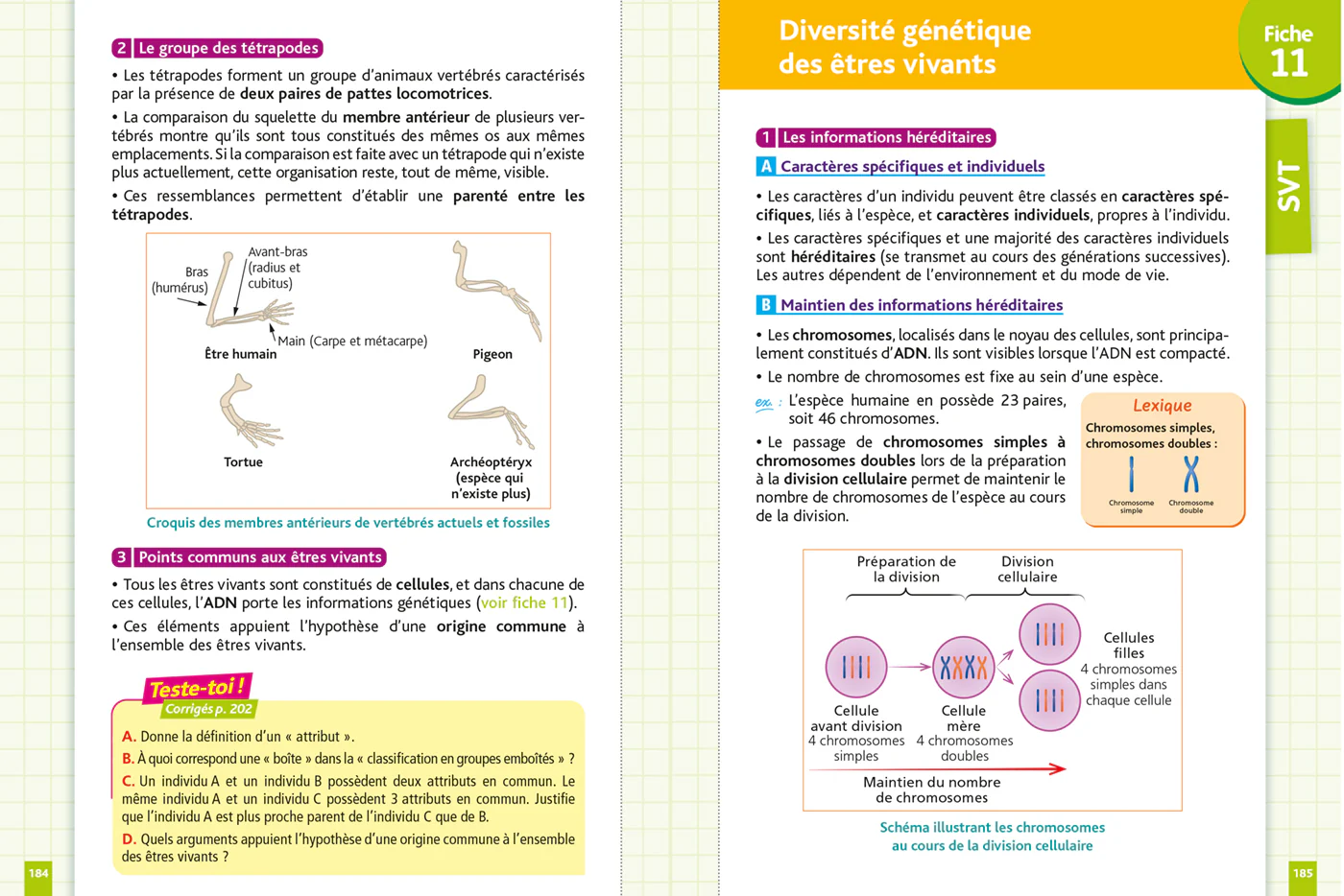Objectif Brevet - Fiches Tout-en-un 2027 - Image 25