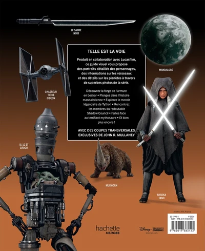 Guide visuel Mandalorian - Image 8