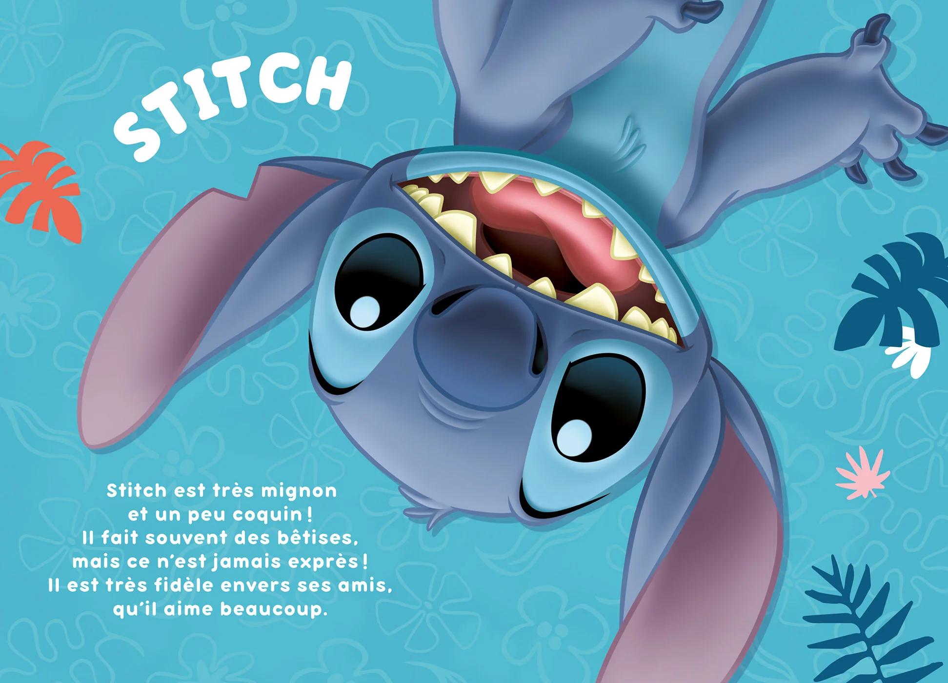 Mes premiers romans Stitch, Tome 07 - La meilleure photo - Image 8