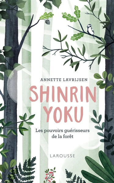 Shinrin Yoku, la forêt qui guérit le corps et l'esprit - Image 4