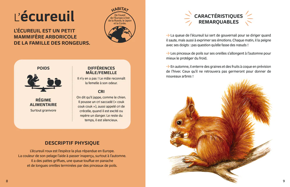 Mes animaux du monde - Les animaux de la forêt - Image 3