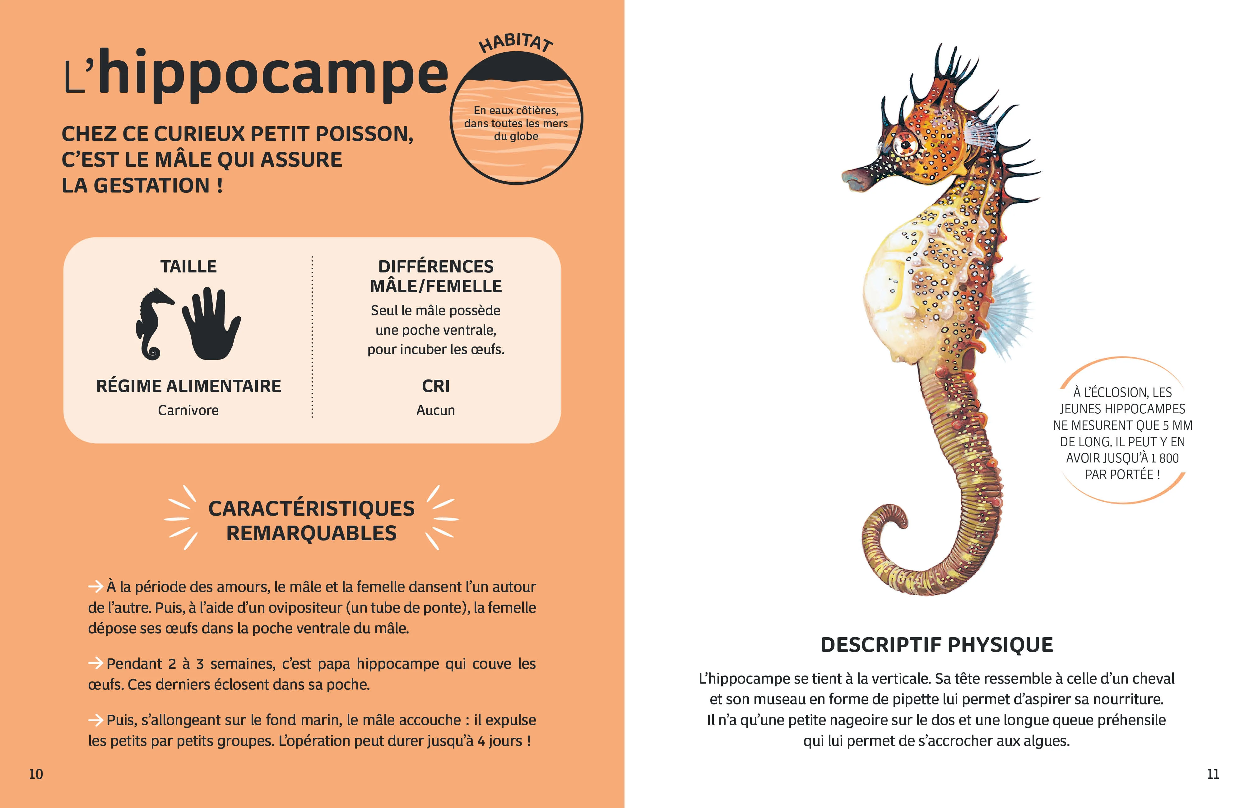 Mes animaux du monde - Les animaux de la mer - Image 8