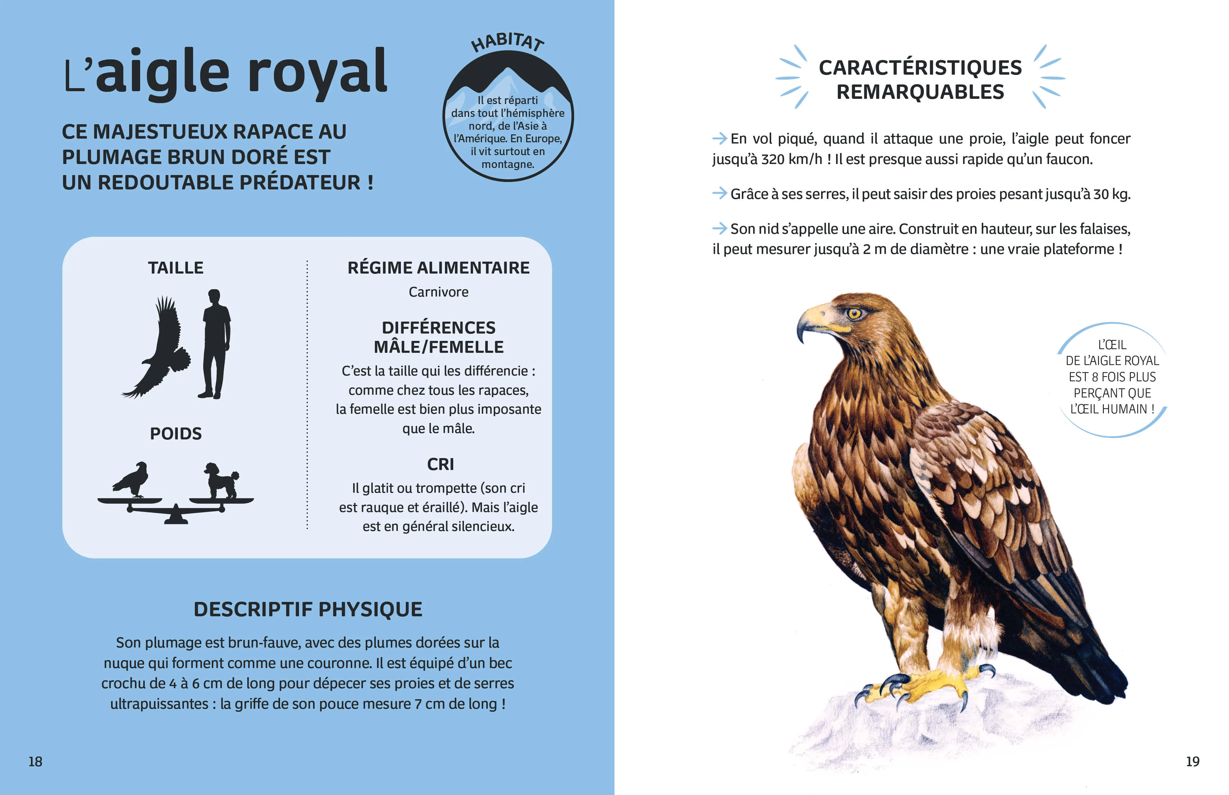 Mes animaux du monde - Les animaux de la montagne - Image 12