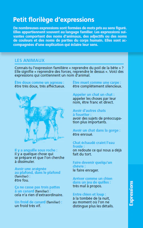 Le dictionnaire Larousse Junior poche Plus - Image 34