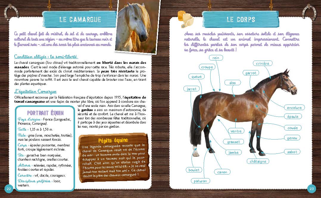 Mon carnet 100% équitation avec Au Galop - Image 30