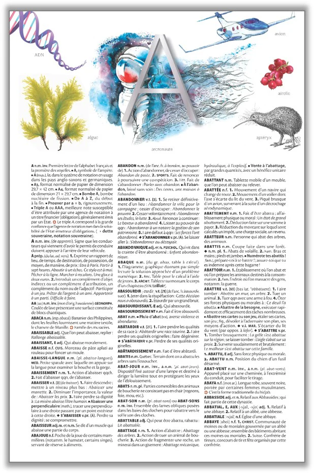 Le Grand Larousse Illustré - Image 2