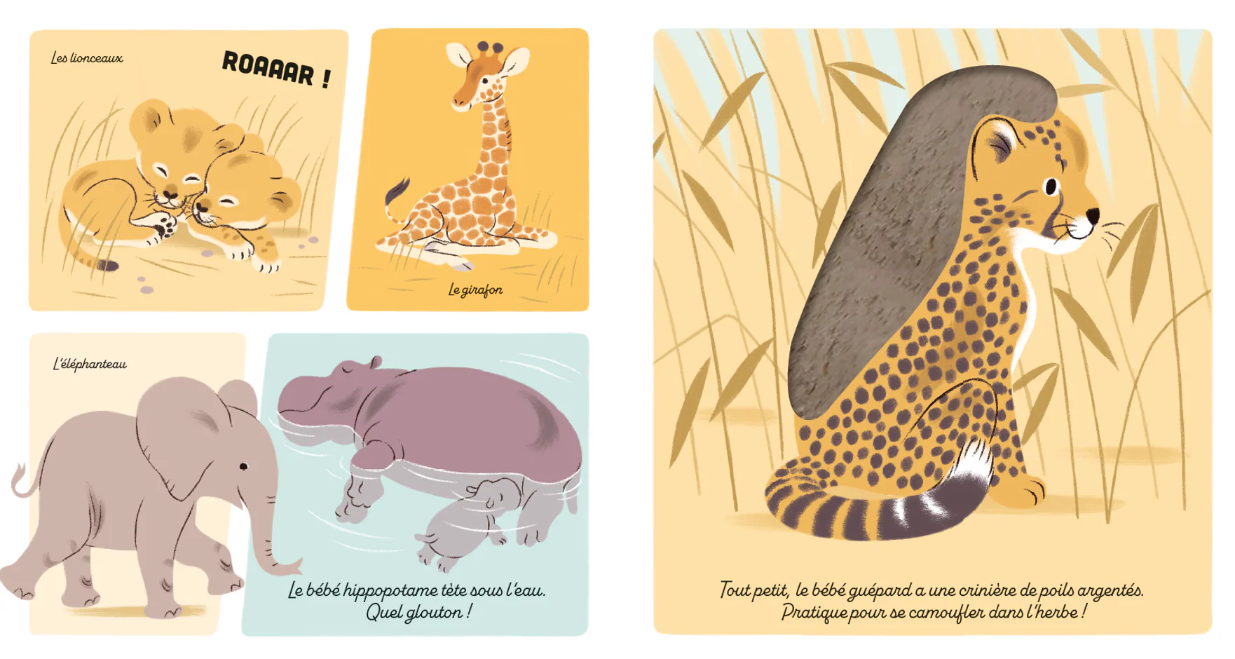 Mon imagier tout doux - La savane - Image 2
