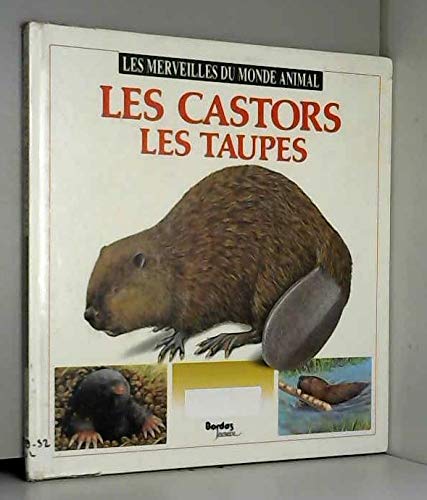 Les castors, les taupes - Image 2