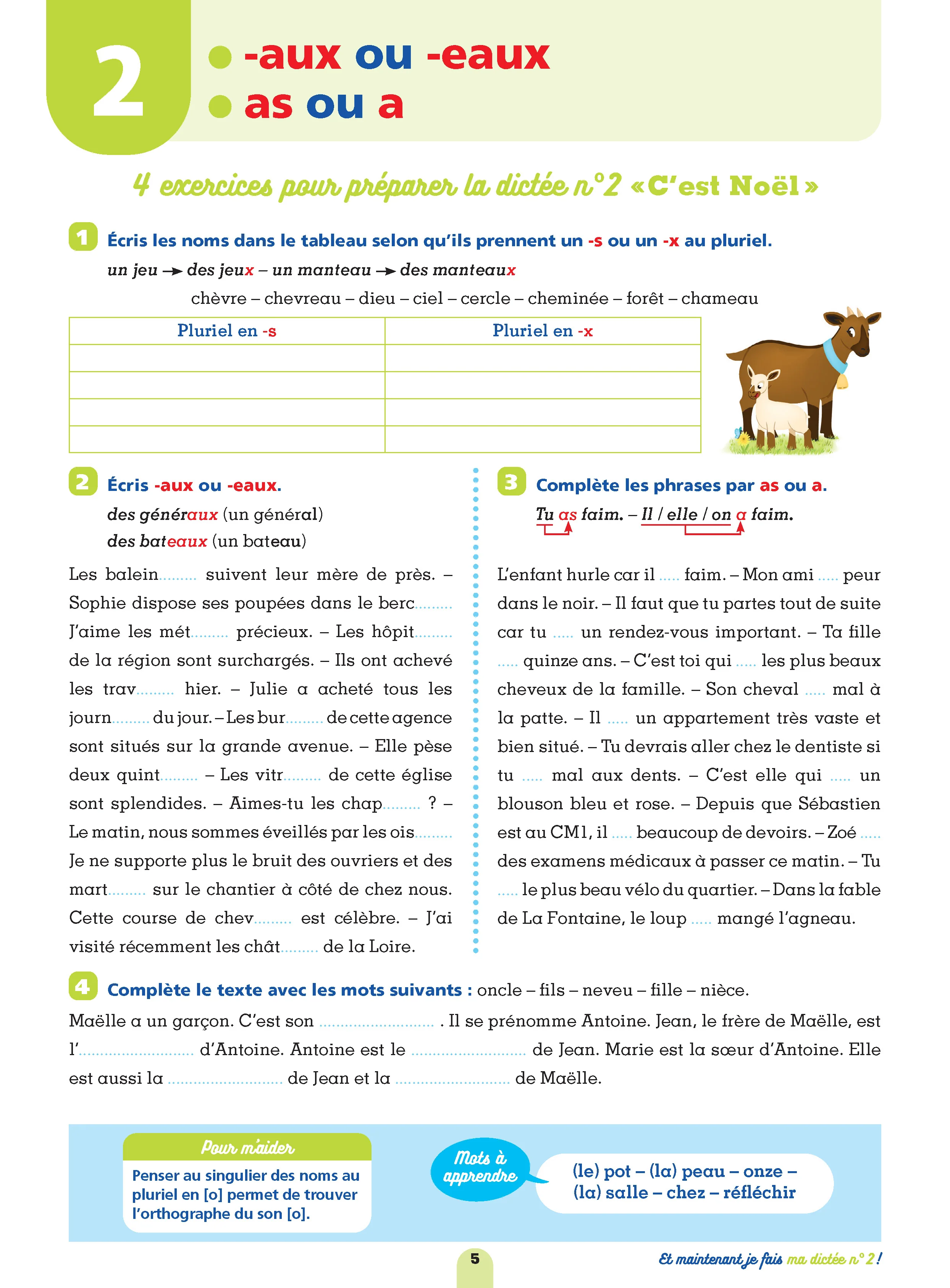 Les cahiers Bordas - Mon cahier de dictées CM1 - Image 11