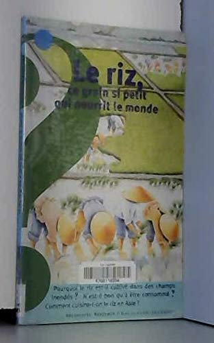 Le riz, ce grain si petit qui nourrit le monde - Image 2
