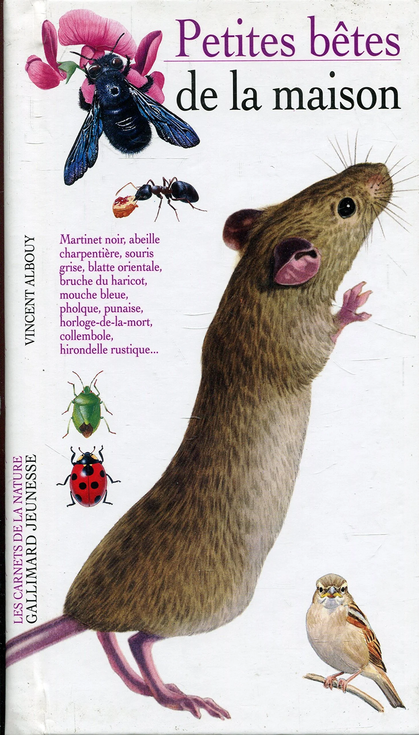 Petites bêtes de la maison - Image 2