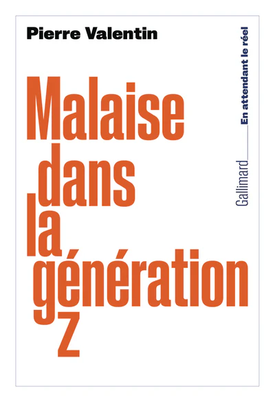Malaise dans la génération Z - Image 2