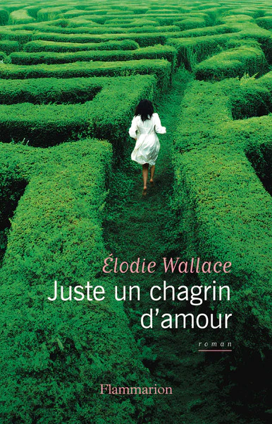 Juste un chagrin d'amour - Image 2