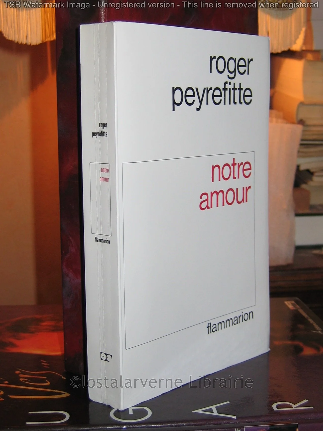 Notre amour - Image 4
