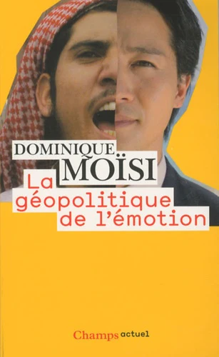 La géopolitique de l'émotion - Image 8