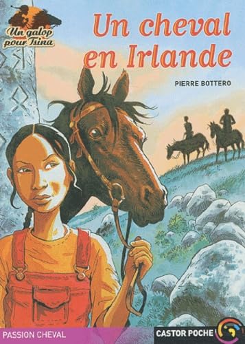 Un cheval en Irlande - Image 2