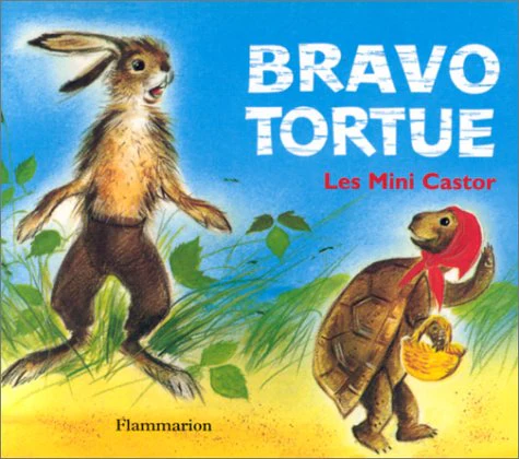Bravo tortue - Image 10