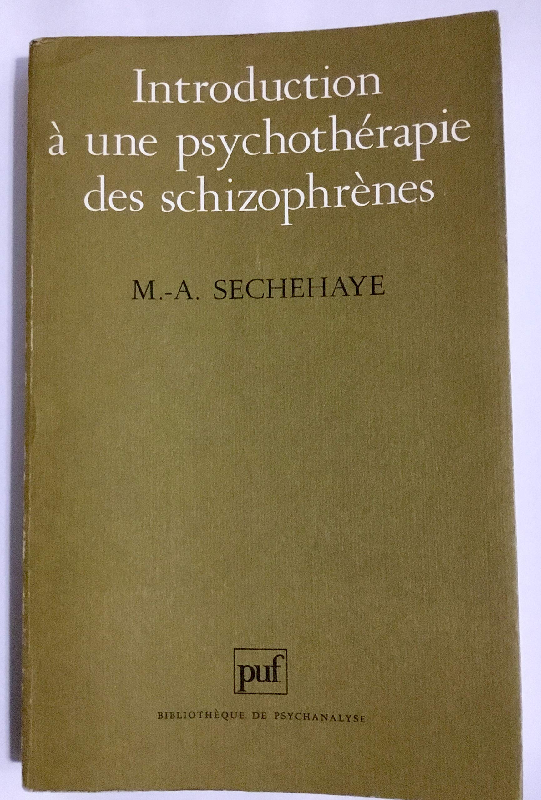 Introduction psychother.schizophrene - Image 2