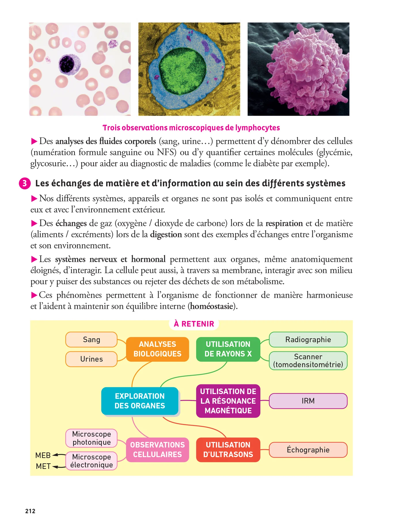 Prépabac - Mes épreuves anticipées Français et Maths + et mes spé - 1ere ST2S - Image 38
