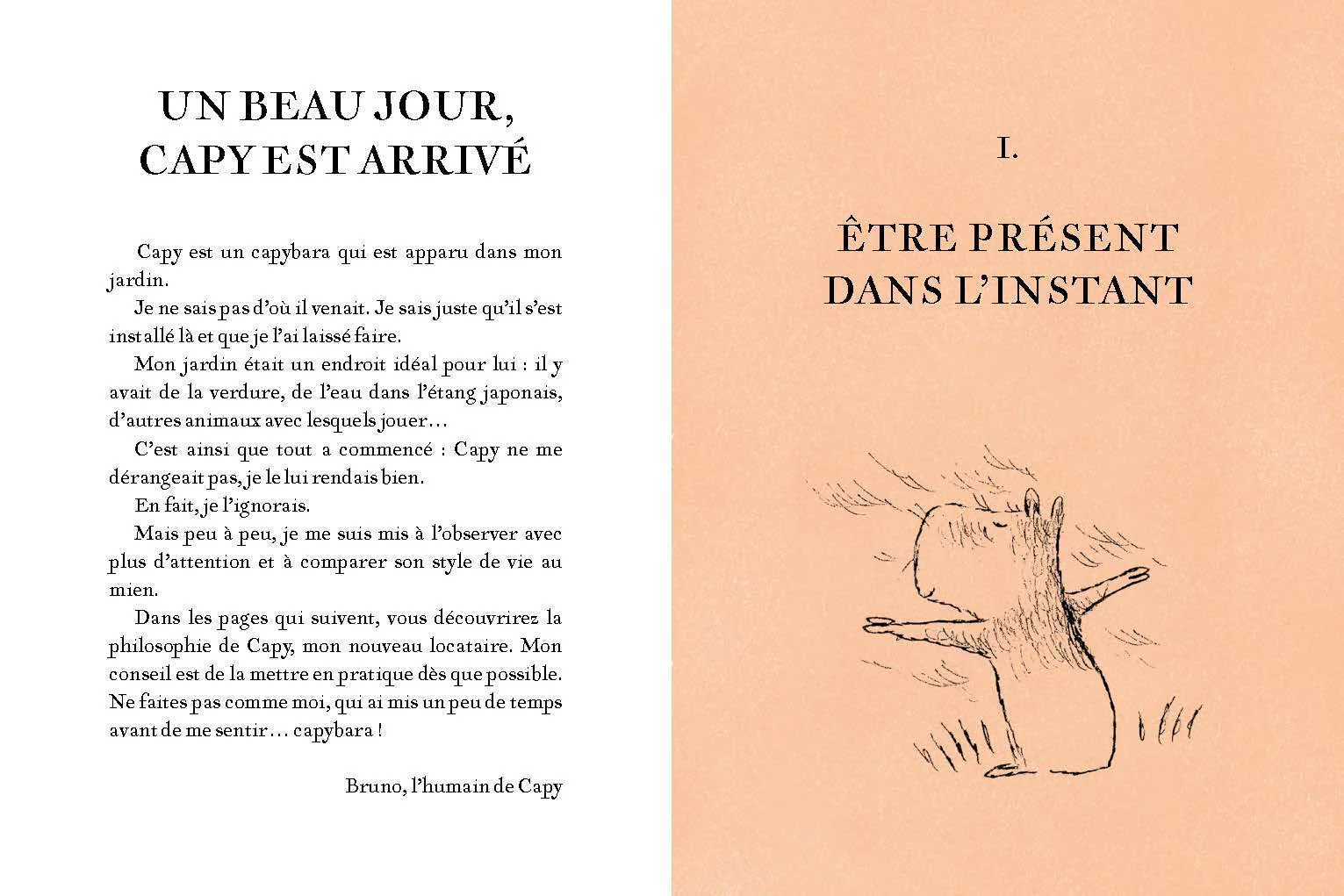 La Philosophie du capybara - Image 3