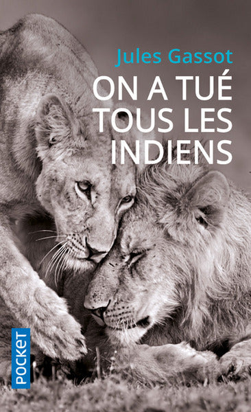 On a tué tous les Indiens - Image 3
